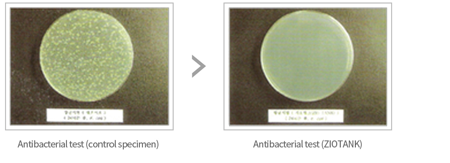 antibacterial test(control specimen)